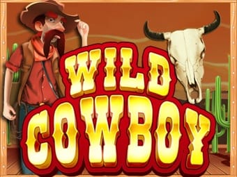 Wild Cowboy screenshot