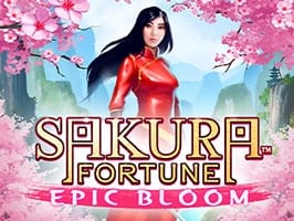 Sakura Fortune Epic Bloom