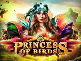 Princess of Birds